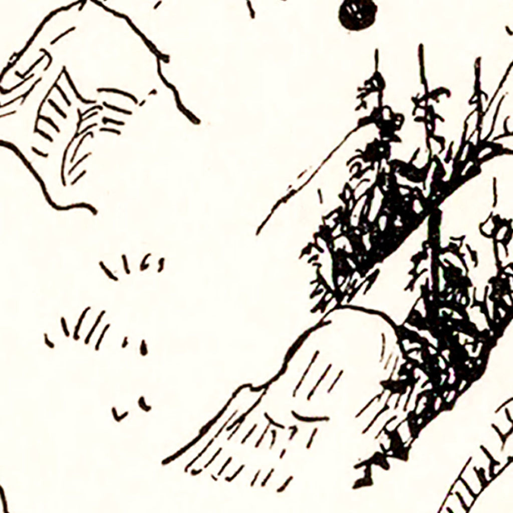 Vintage Map of Nevada 1931