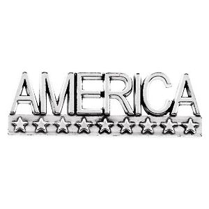14K White Gold America Lapel Pin