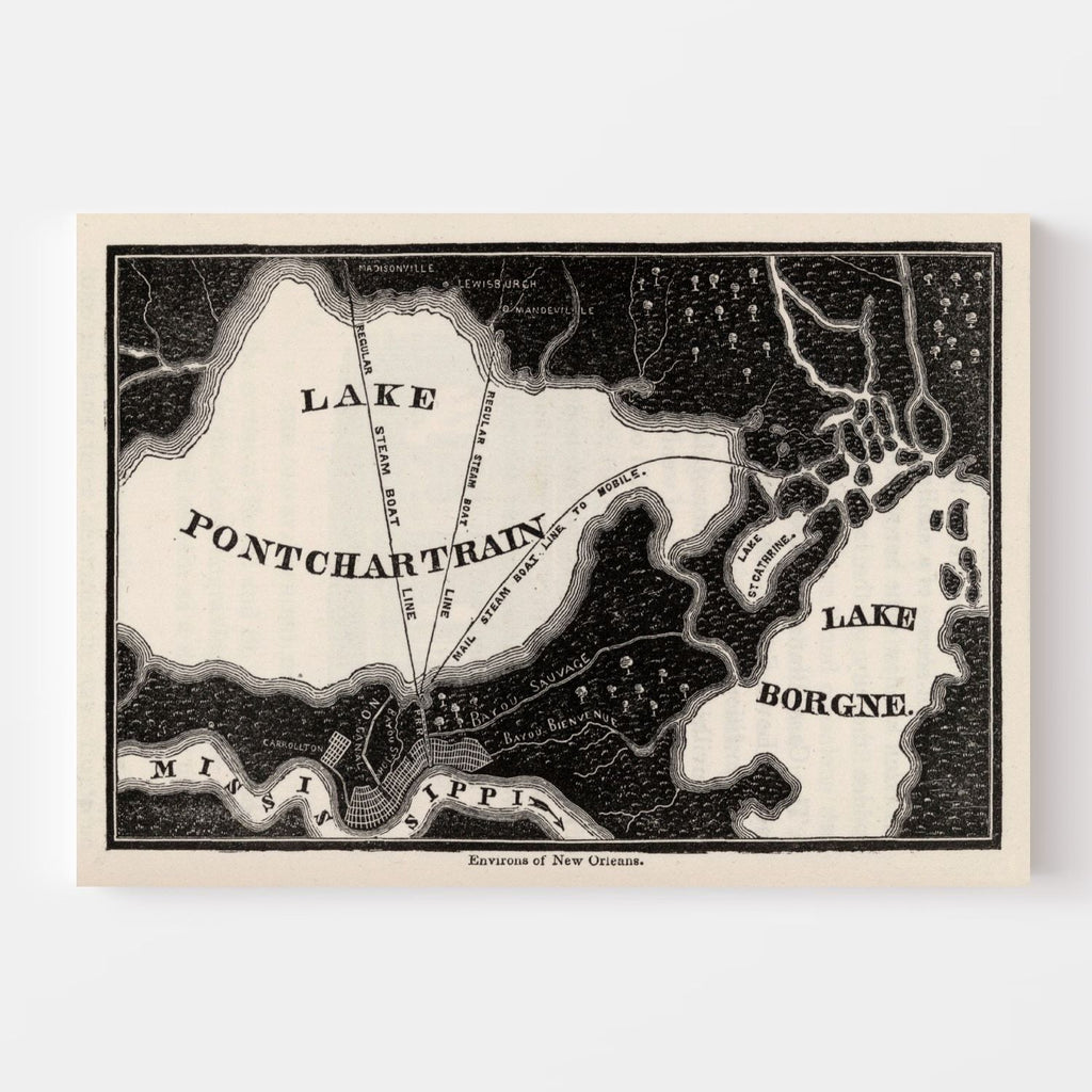 Vintage Map of New Orleans, Louisiana 1845