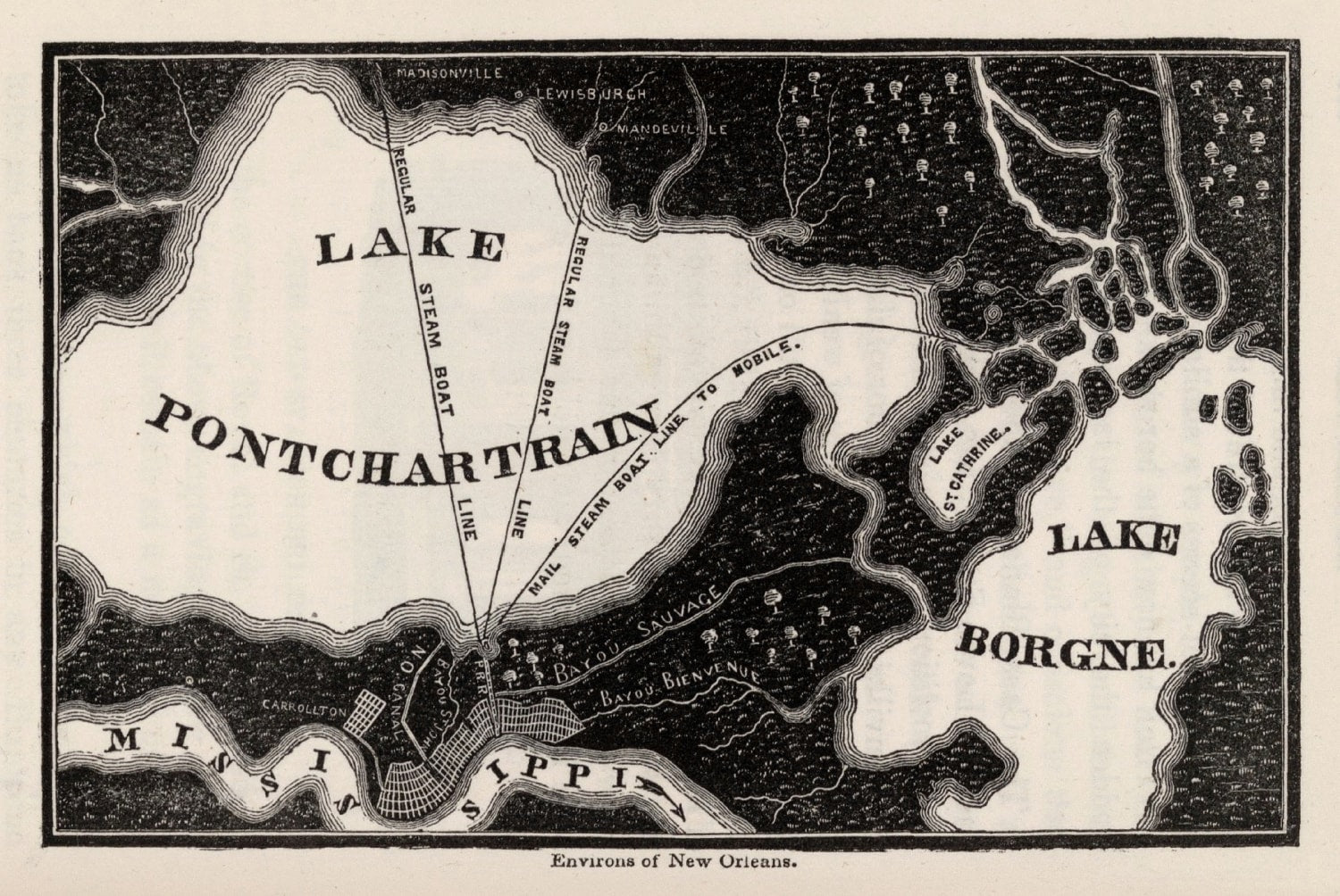 Vintage Map of New Orleans, Louisiana 1845