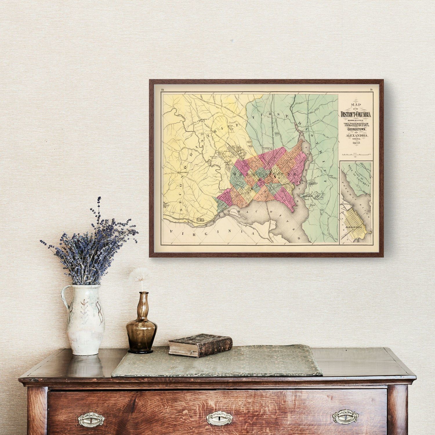Vintage Map of Washington, DC 1873