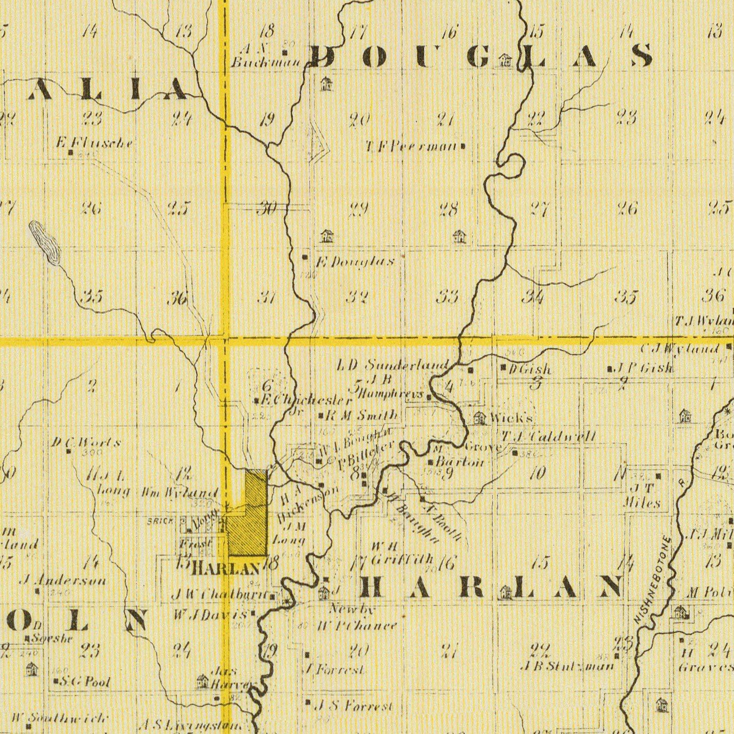 Vintage Map of Shelby County, Iowa 1875