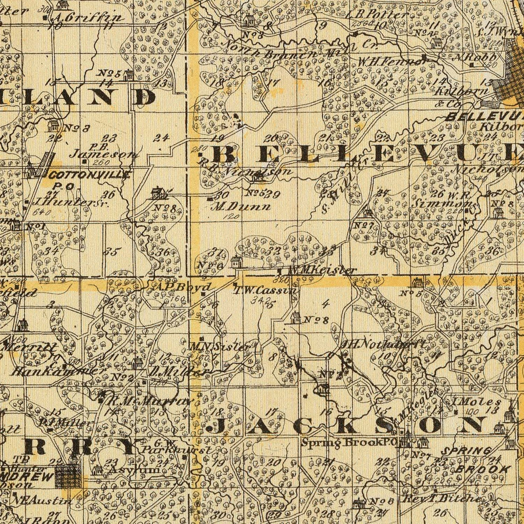 Vintage Map of Jackson County, Iowa 1875