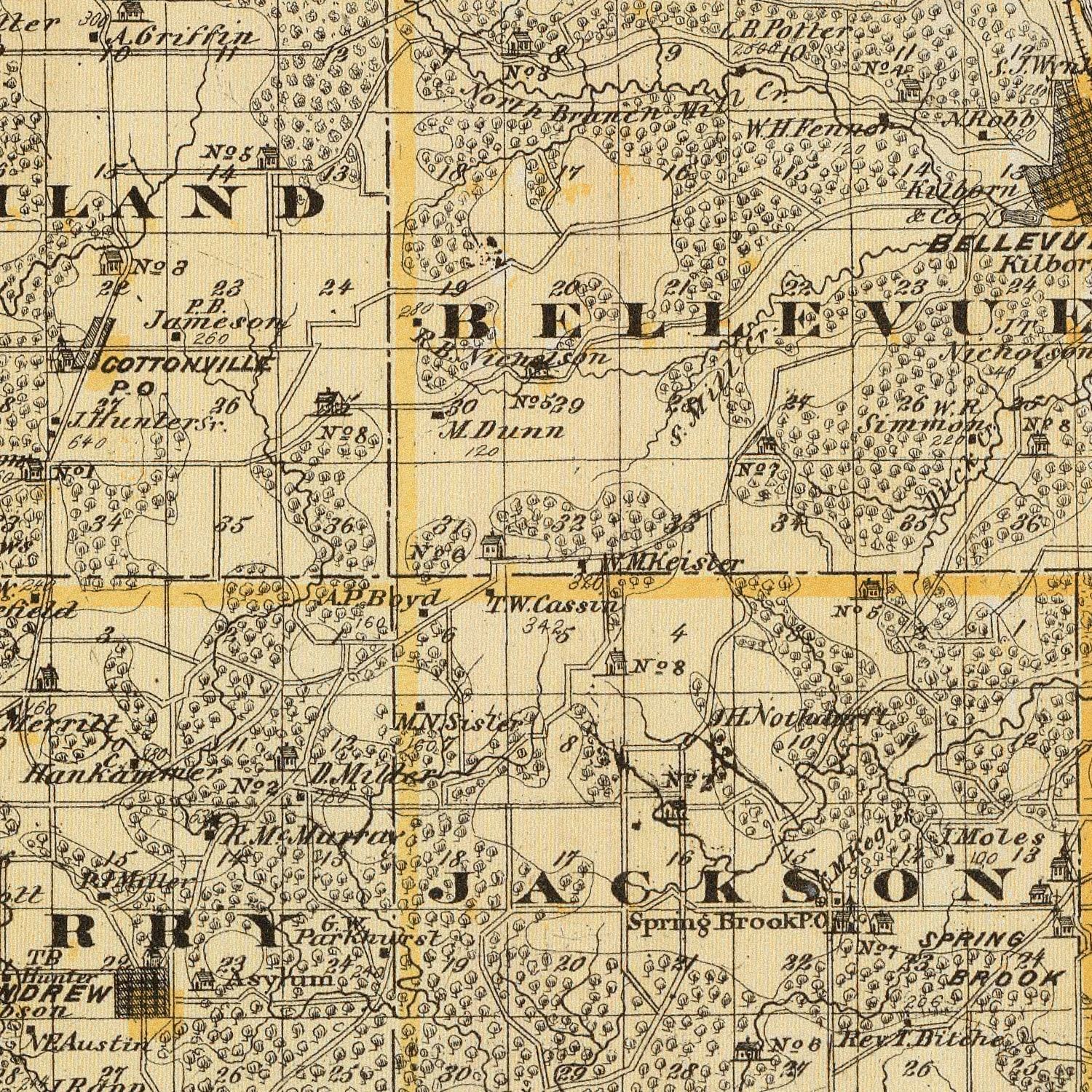 Vintage Map of Jackson County, Iowa 1875