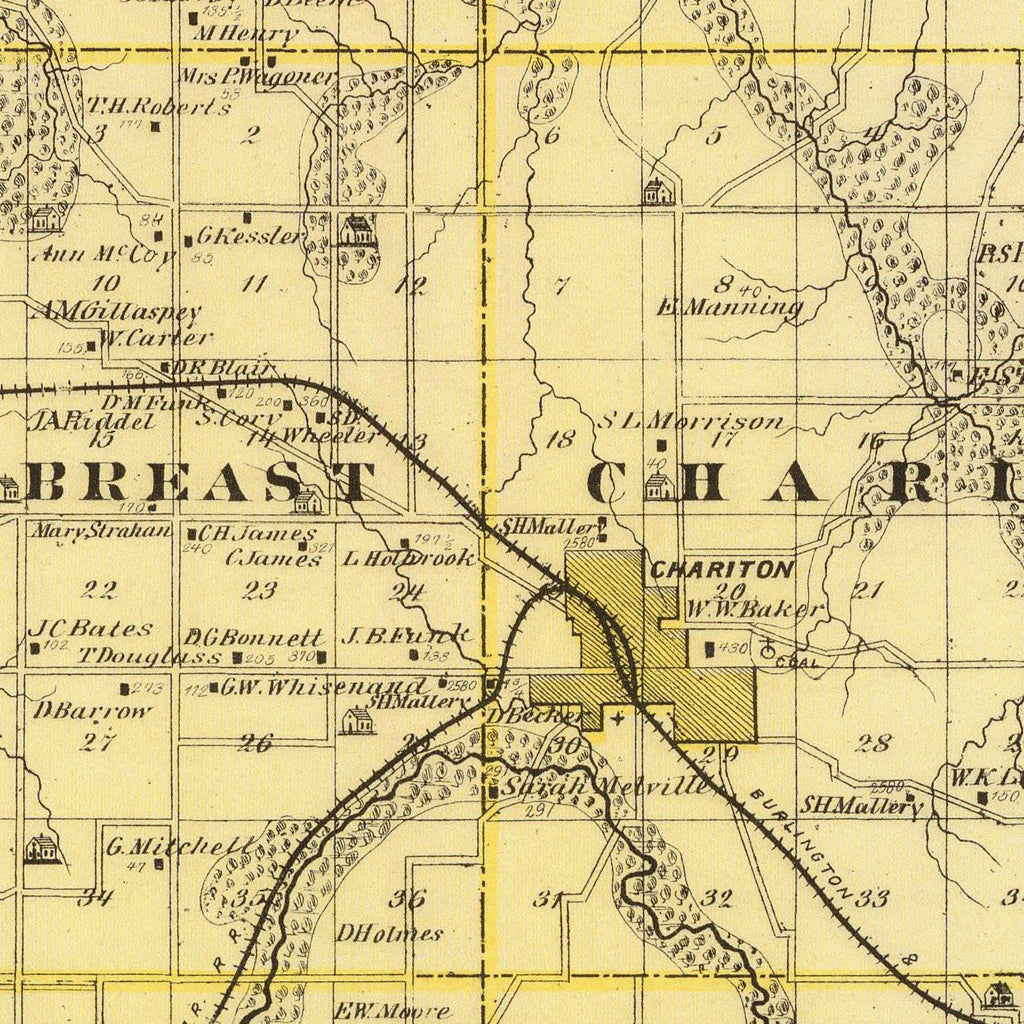 Vintage Map of Lucas County, Iowa 1875