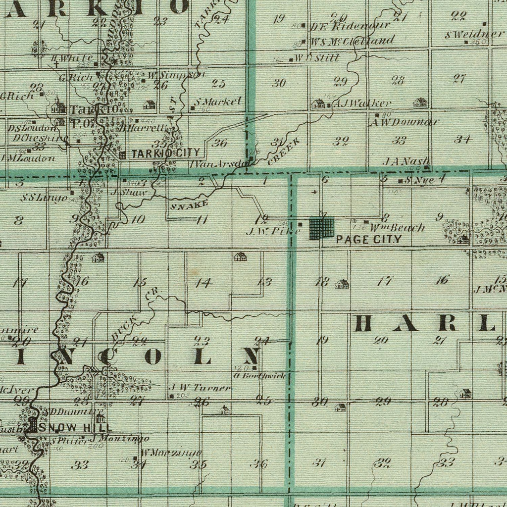 Vintage Map of Page County, Iowa 1875