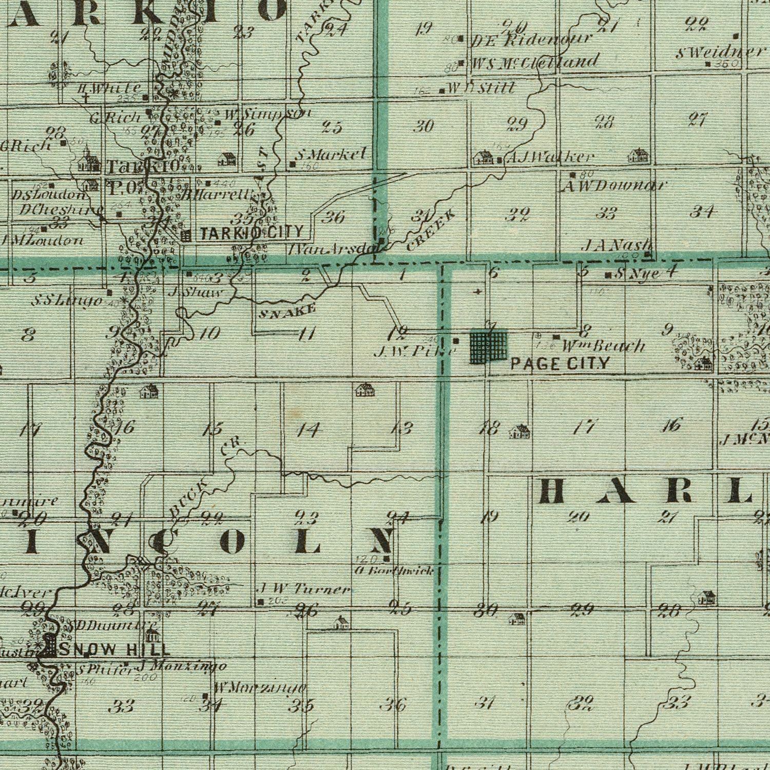 Vintage Map of Page County, Iowa 1875
