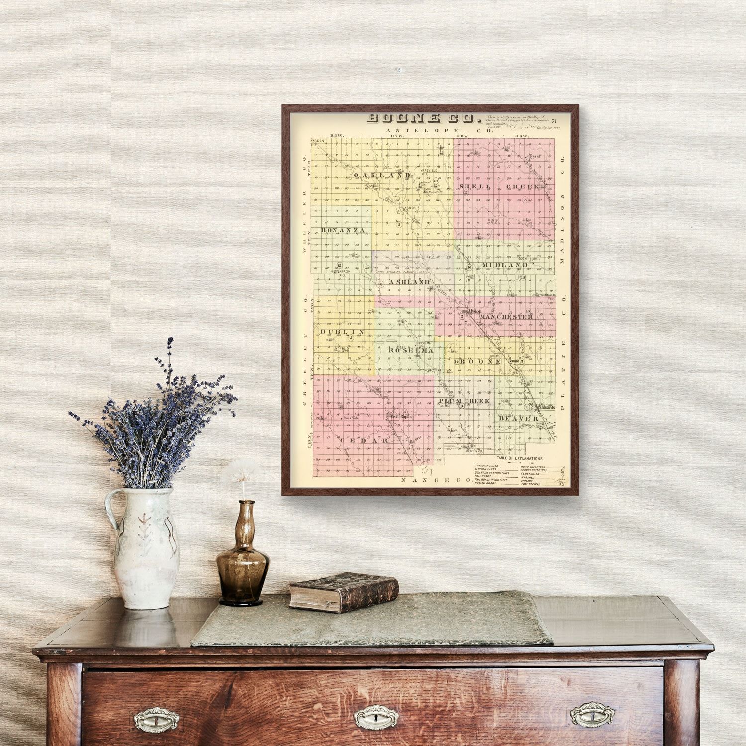 Vintage Map of Boone County, Nebraska 1885