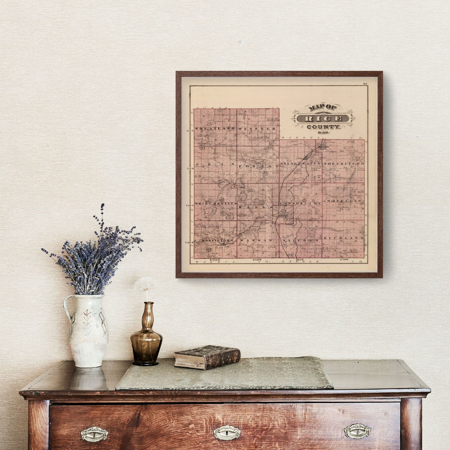 Vintage Map of Rice County, Minnesota 1874