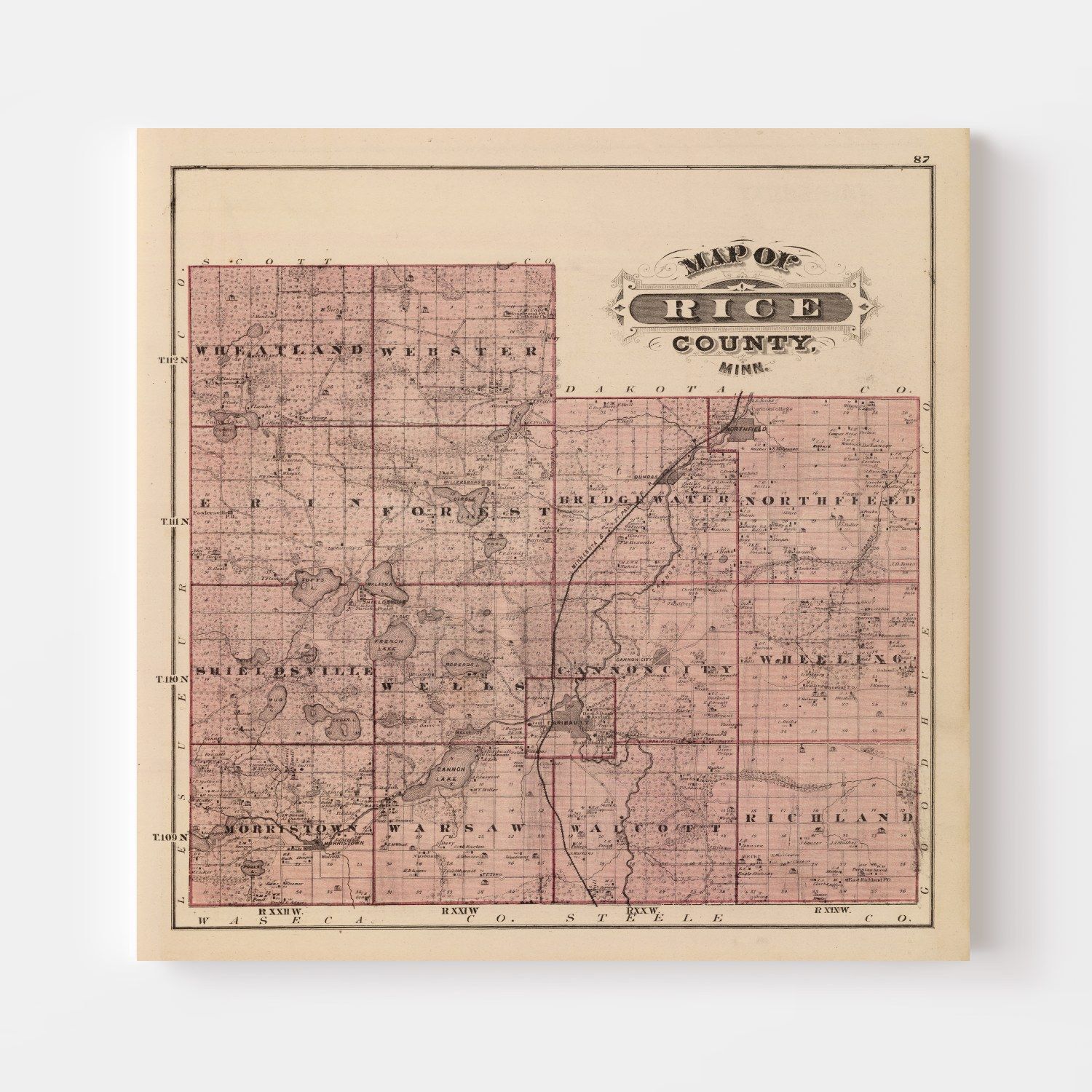 Vintage Map of Rice County, Minnesota 1874