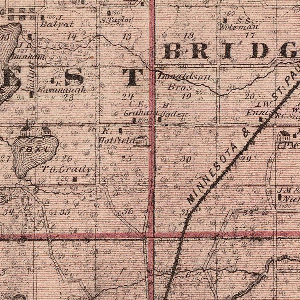 Vintage Map of Rice County, Minnesota 1874