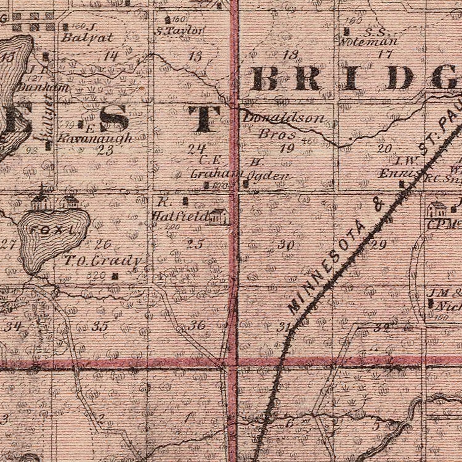 Vintage Map of Rice County, Minnesota 1874