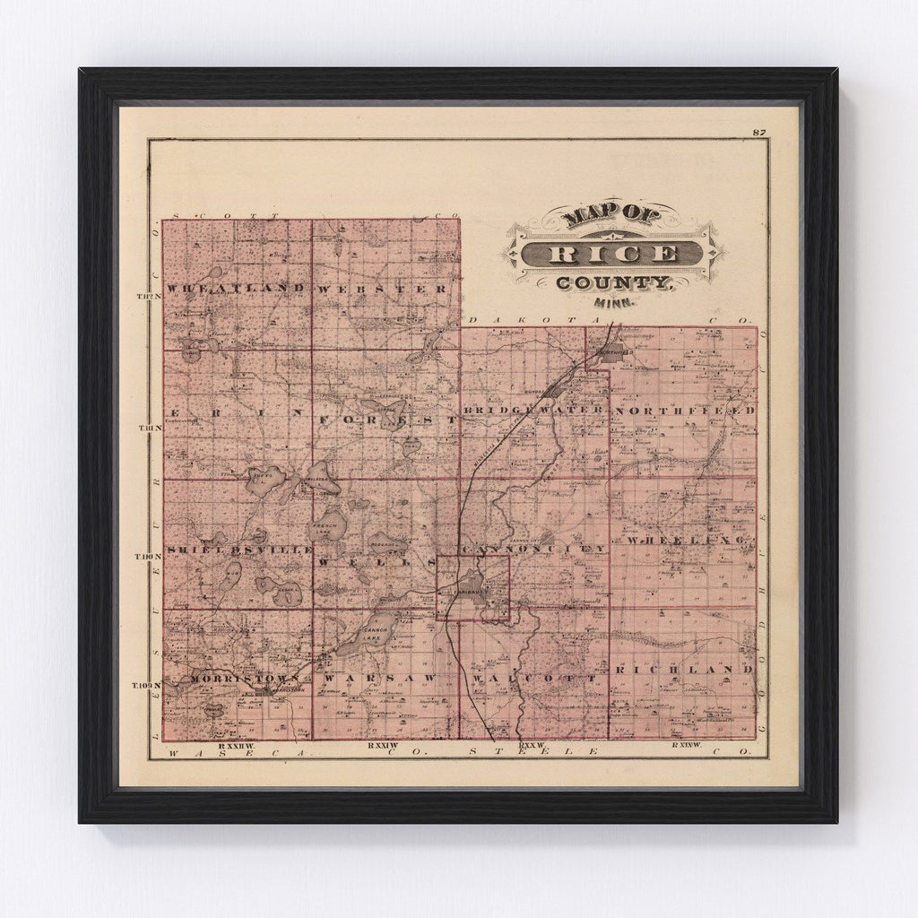 Vintage Map of Rice County, Minnesota 1874