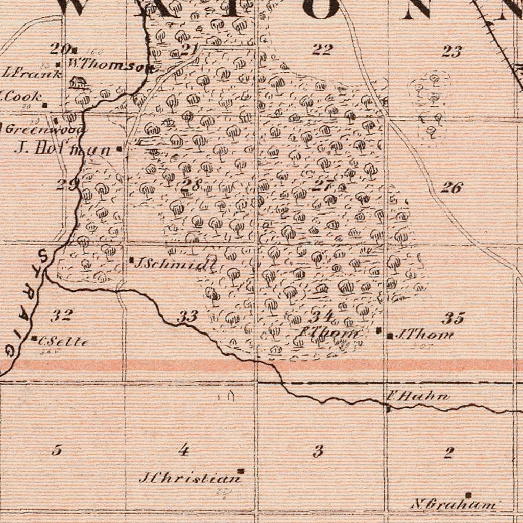 Vintage Map of Steele County, Minnesota 1874