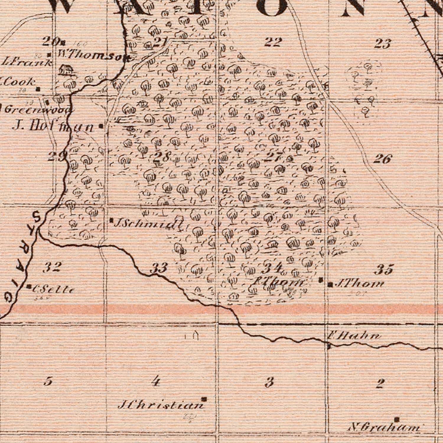 Vintage Map of Steele County, Minnesota 1874