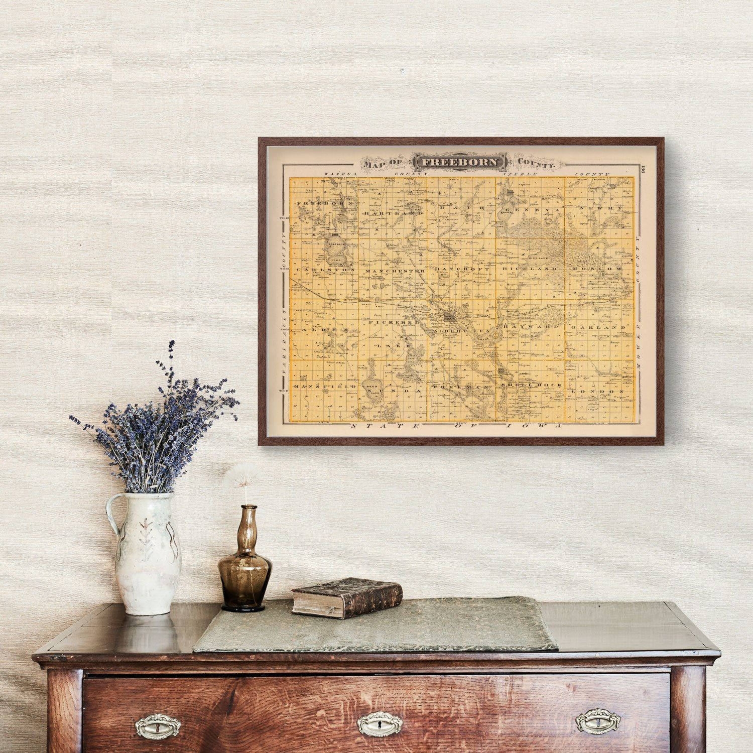 Vintage Map of Freeborn County, Minnesota 1874