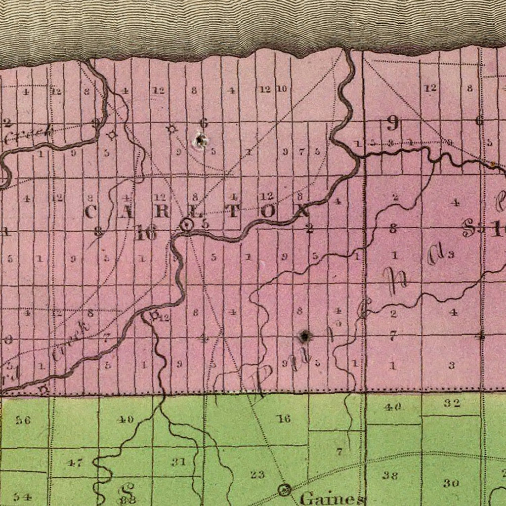 Vintage Map of Orleans County, New York 1829