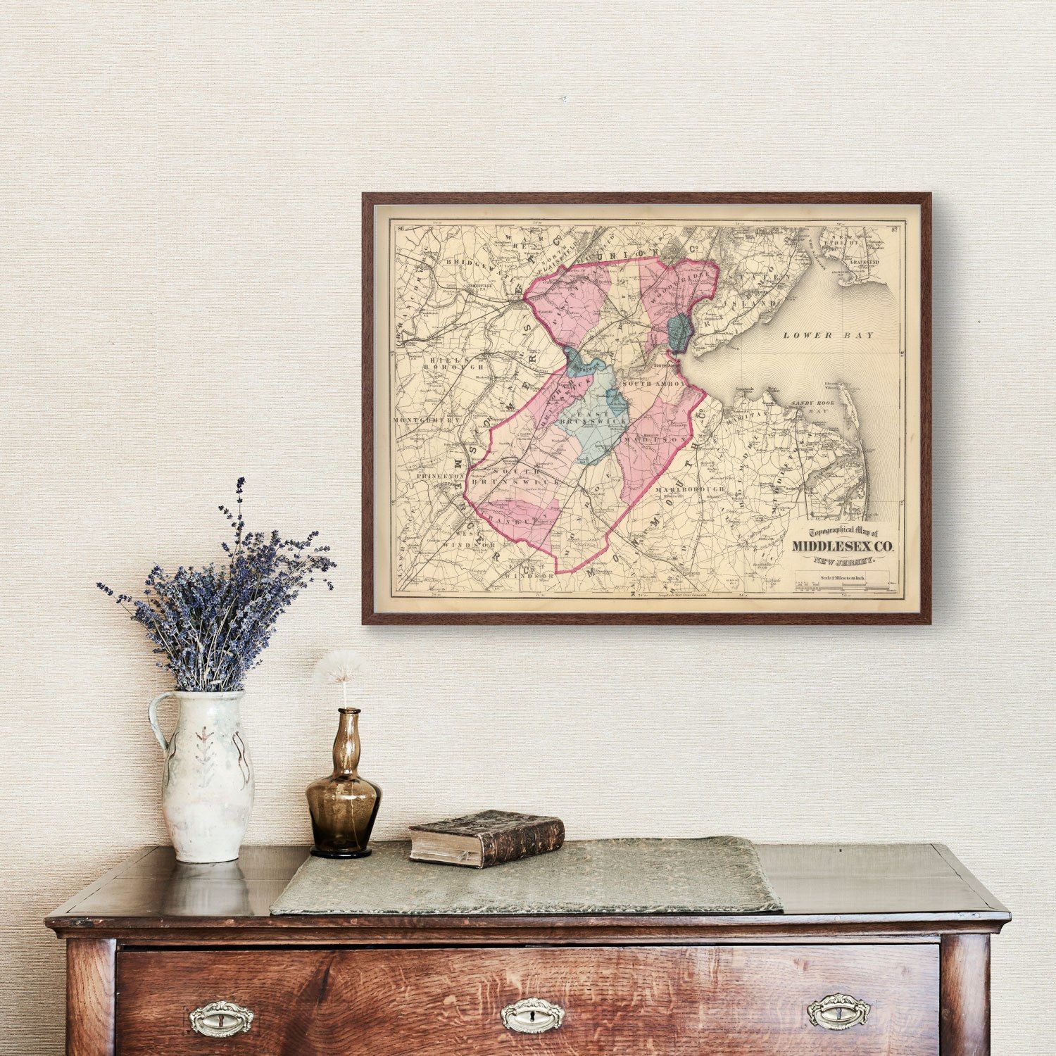 Vintage Map of Middlesex County, New Jersey 1872
