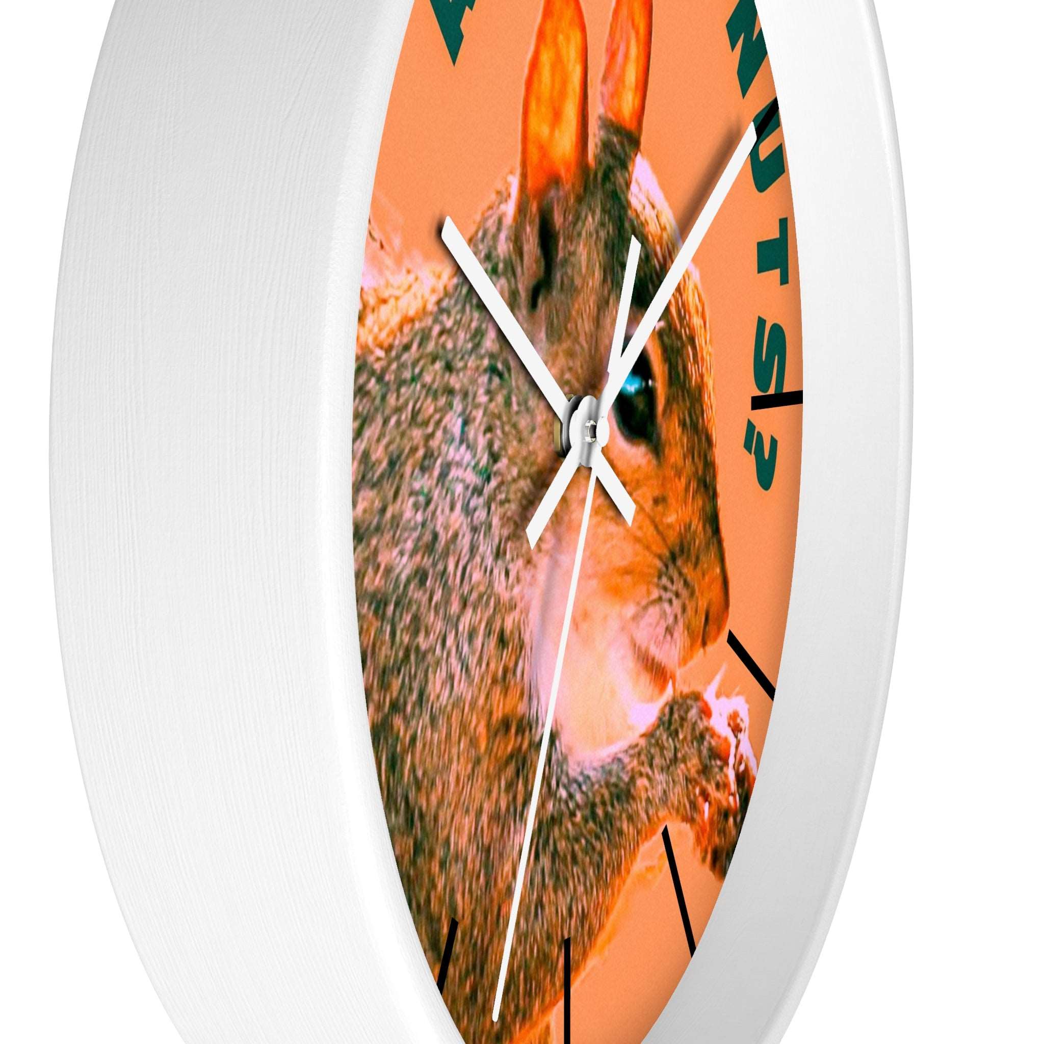 Are You Nuts? Squirrel Wall Clock