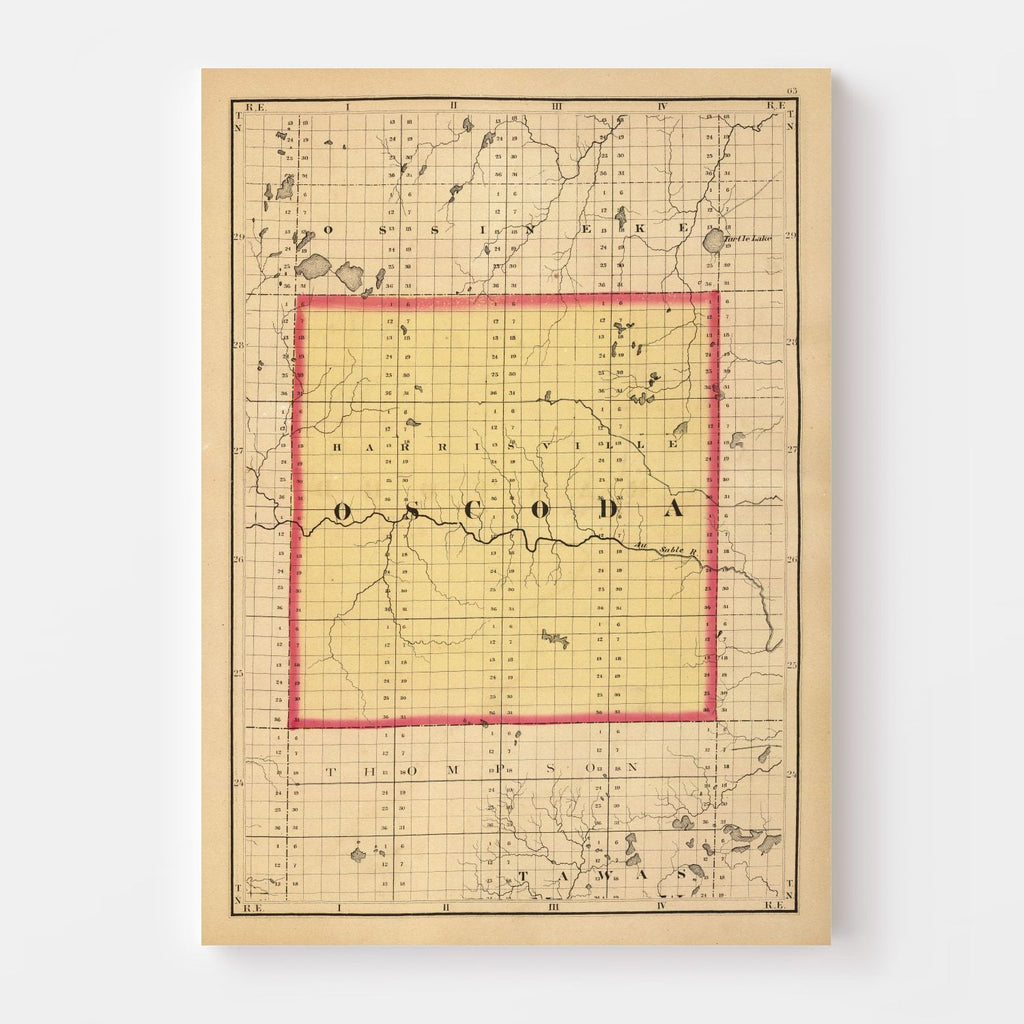 Vintage Map of Oscoda County, Michigan 1873