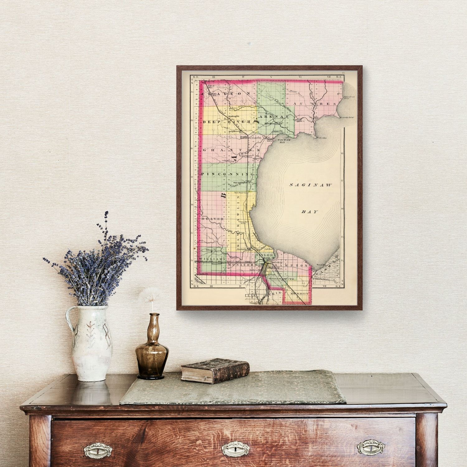 Vintage Map of Saginaw County, Michigan 1873