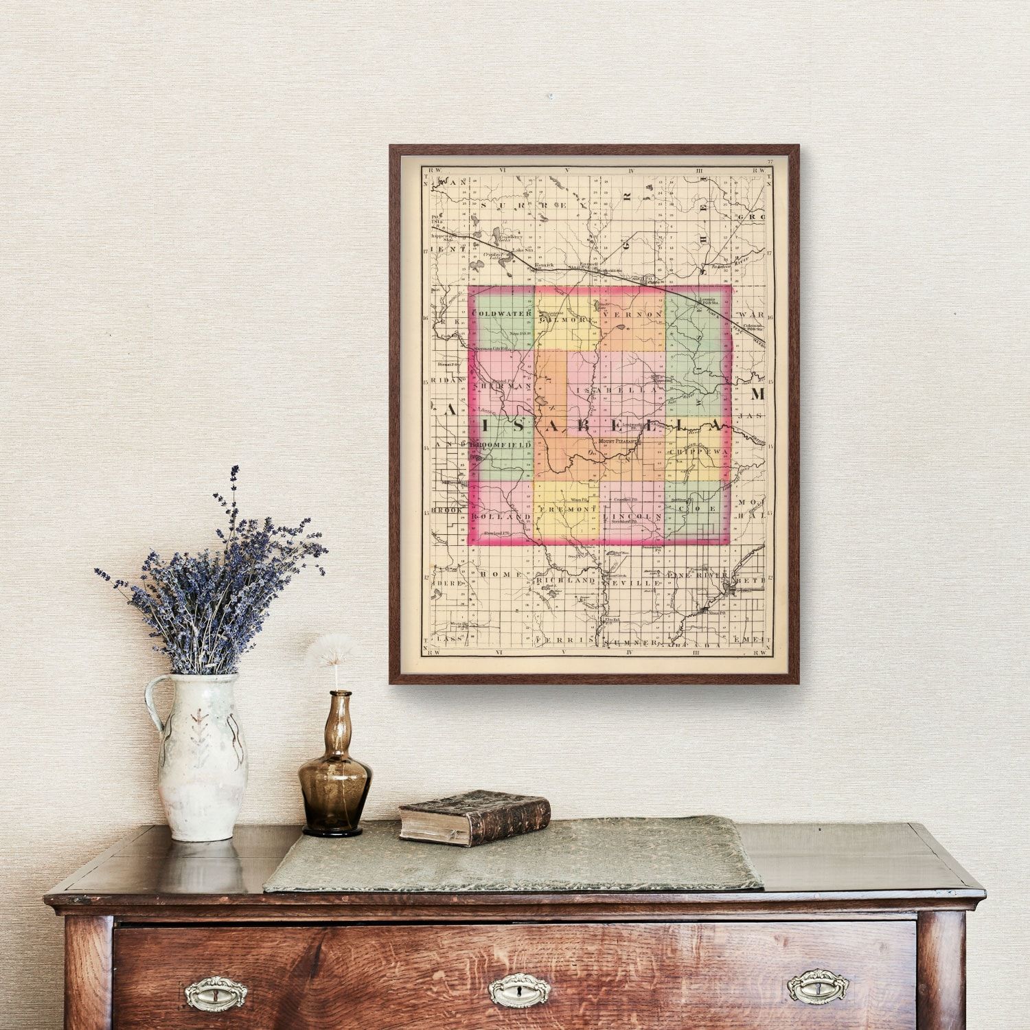 Vintage Map of Isabella County, Michigan 1873