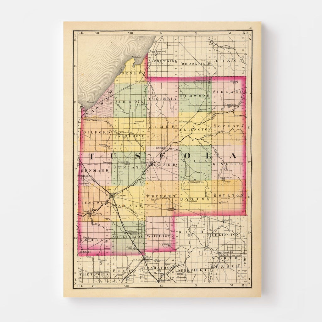 Vintage Map of Tuscola County, Michigan 1873