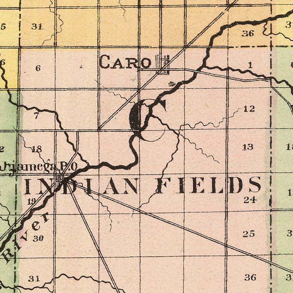 Vintage Map of Tuscola County, Michigan 1873