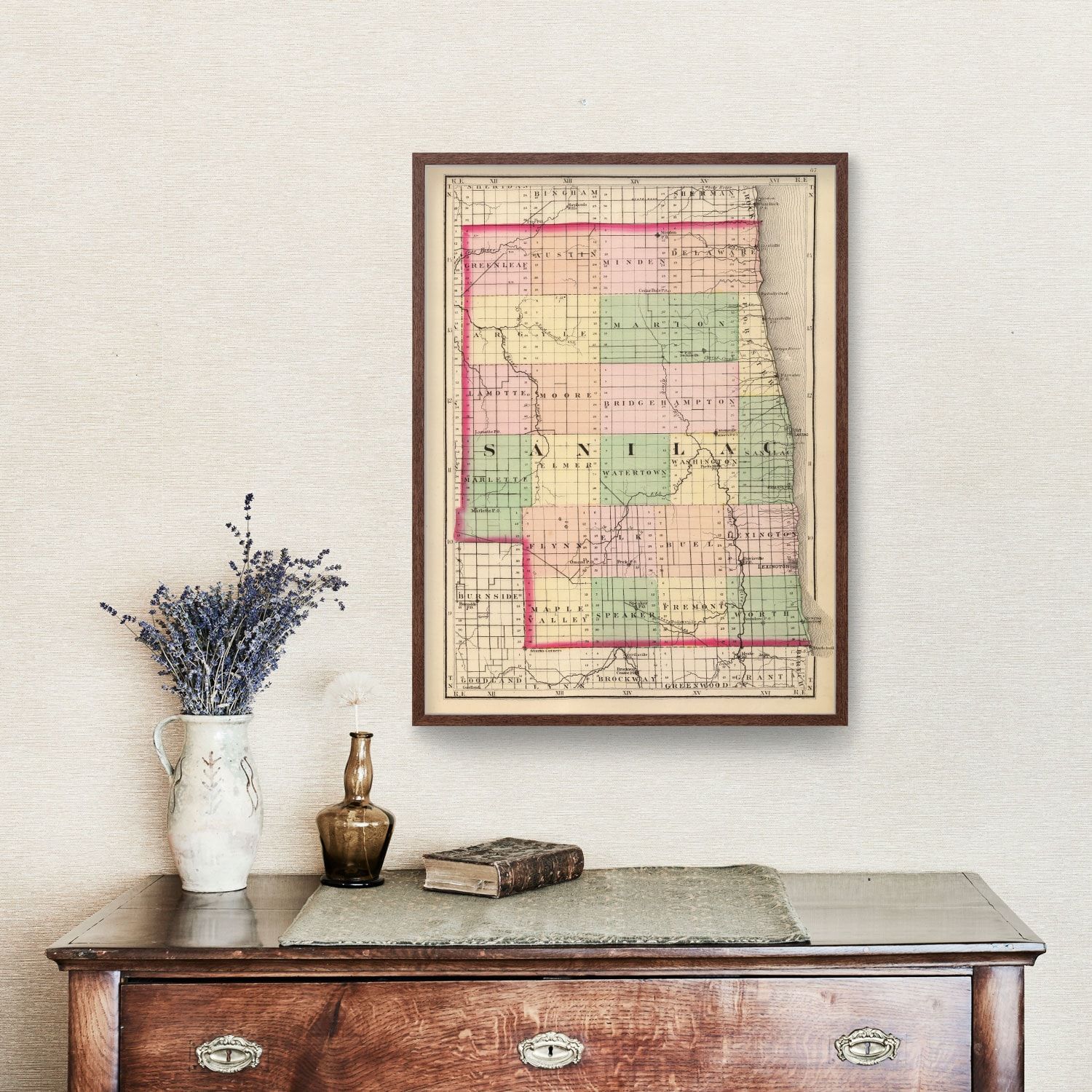 Vintage Map of Sanilac County, Michigan 1873