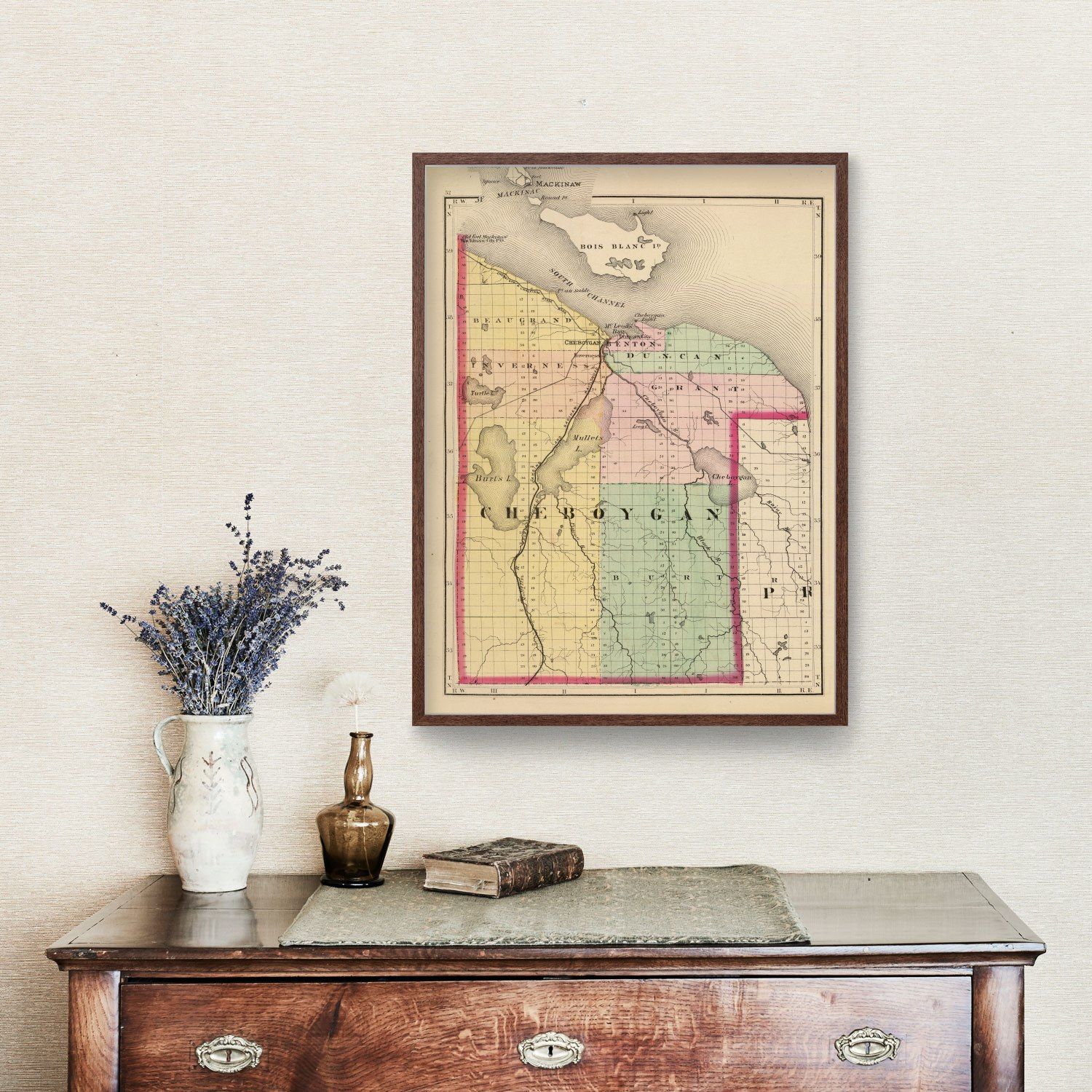 Vintage Map of Cheboygan County, Michigan 1873