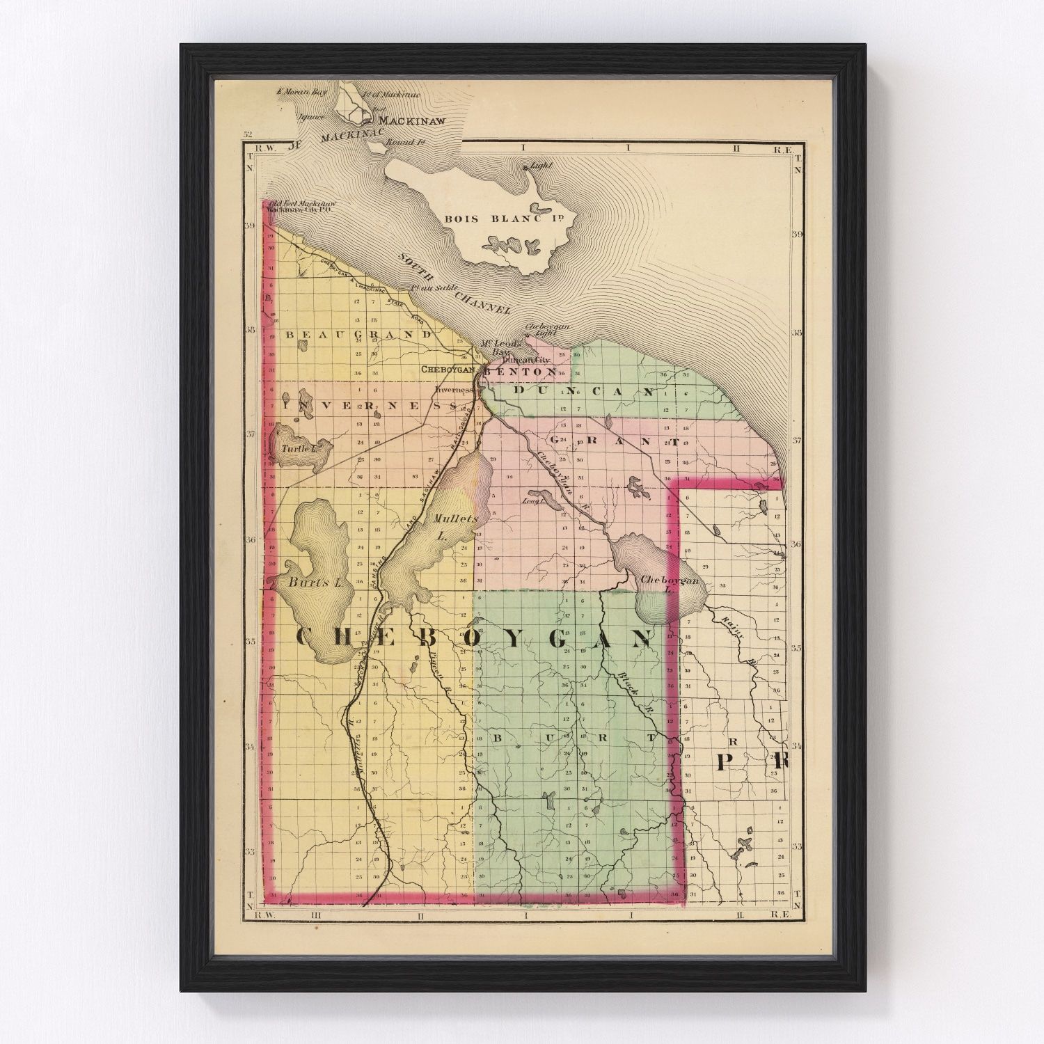 Vintage Map of Cheboygan County, Michigan 1873