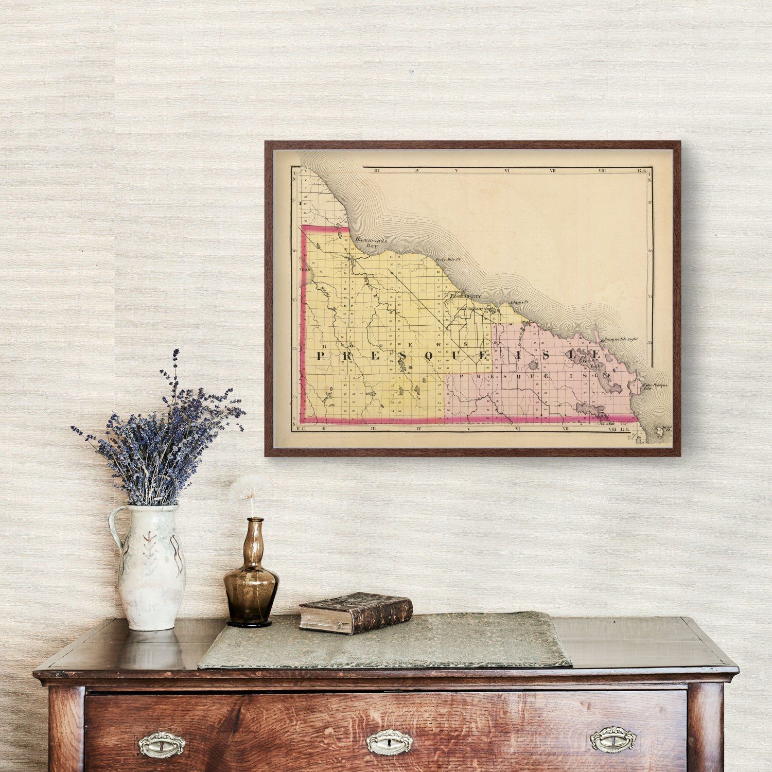 Vintage Map of Presque Isle County, Michigan 1873