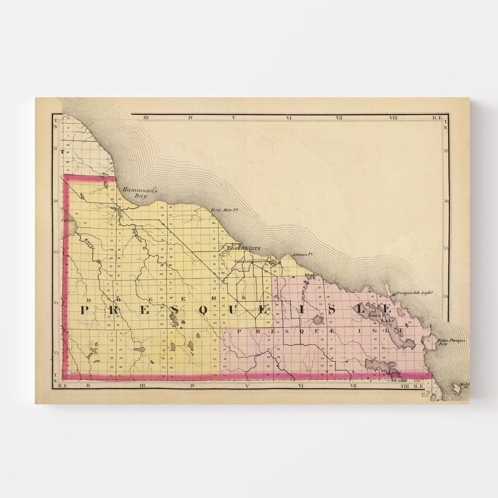 Vintage Map of Presque Isle County, Michigan 1873