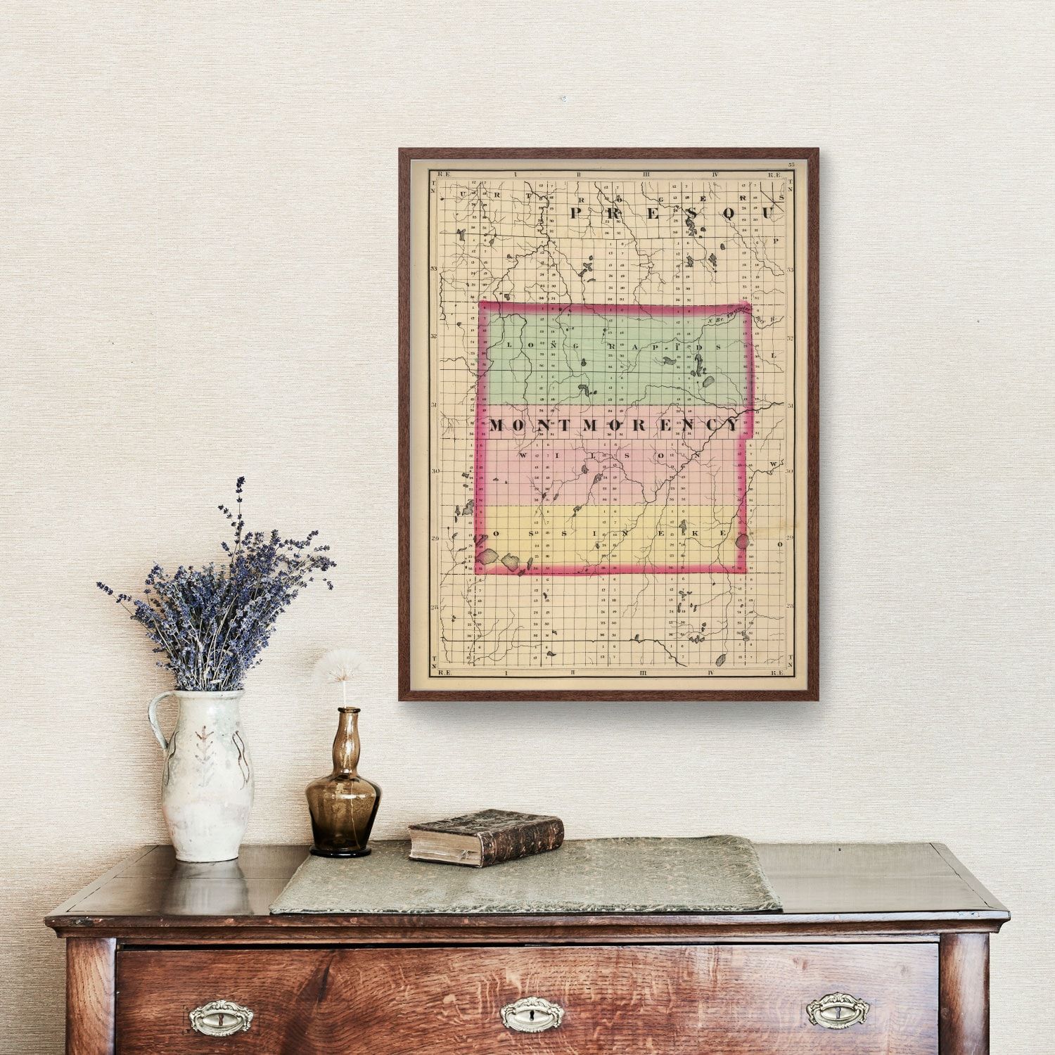 Vintage Map of Montmorency County, Michigan 1873
