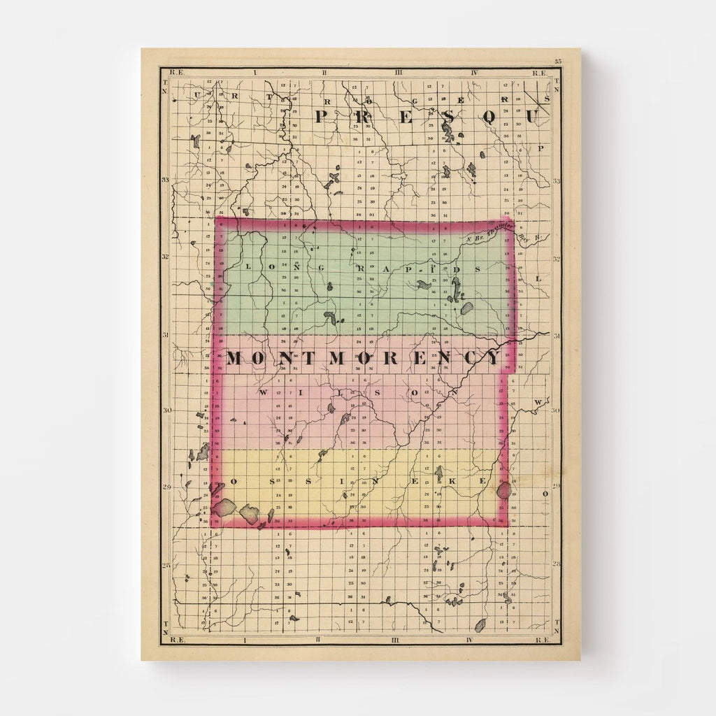 Vintage Map of Montmorency County, Michigan 1873