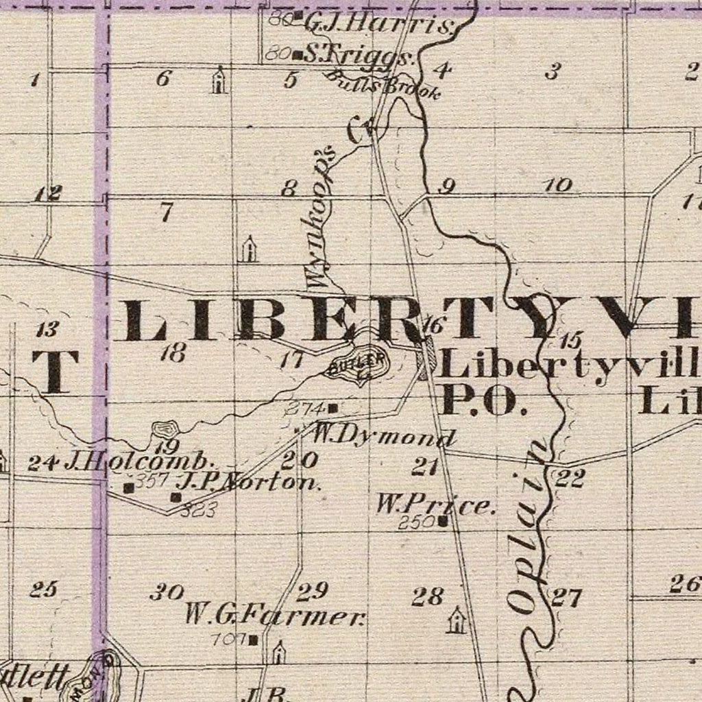 Vintage Map of Lake County, Illinois 1876