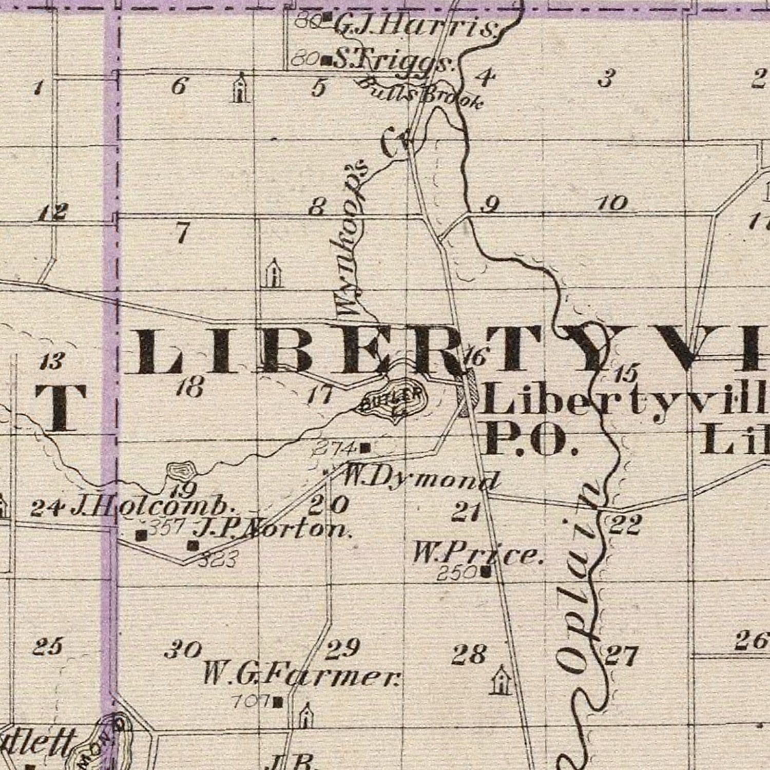 Vintage Map of Lake County, Illinois 1876