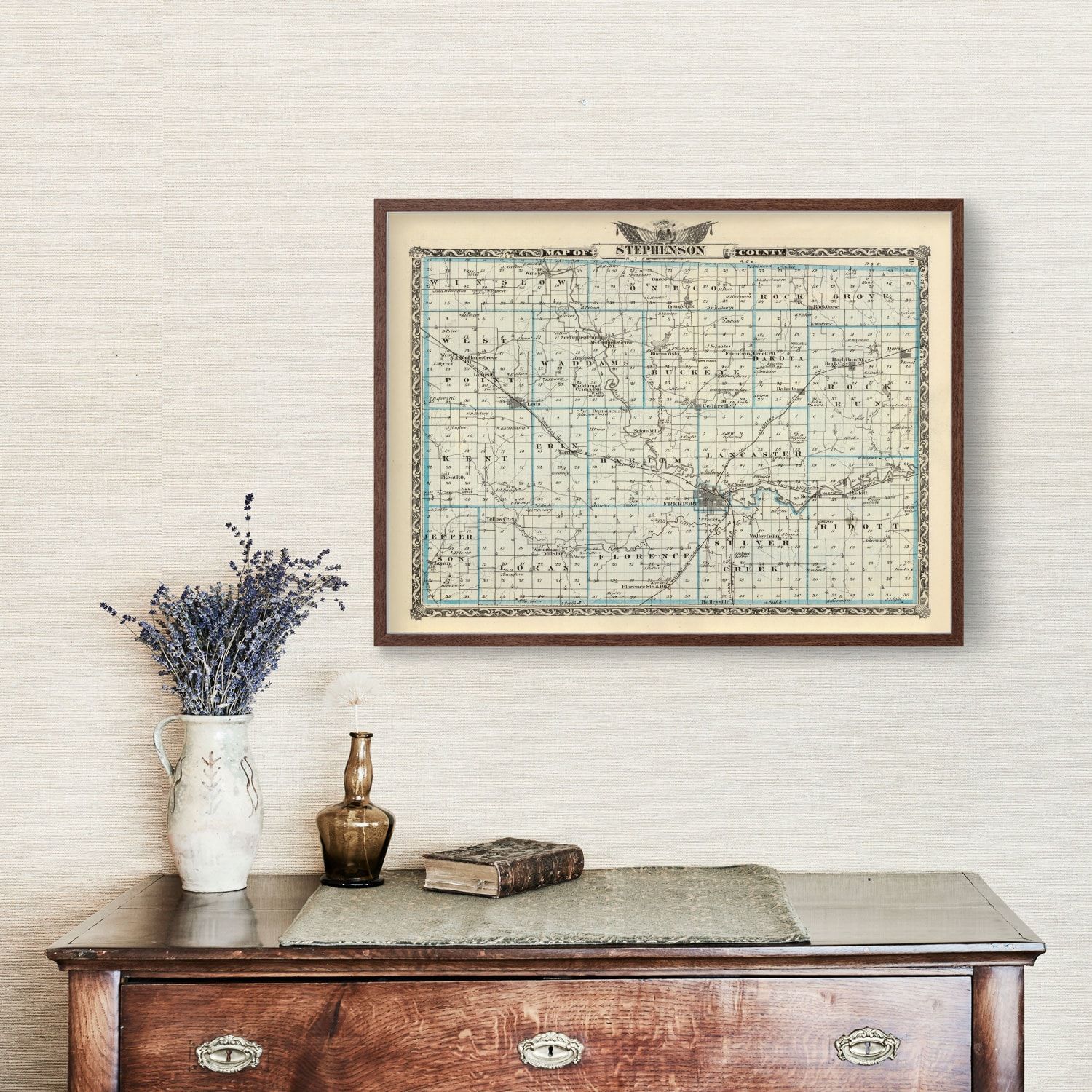 Vintage Map of Stephenson County, Illinois 1876