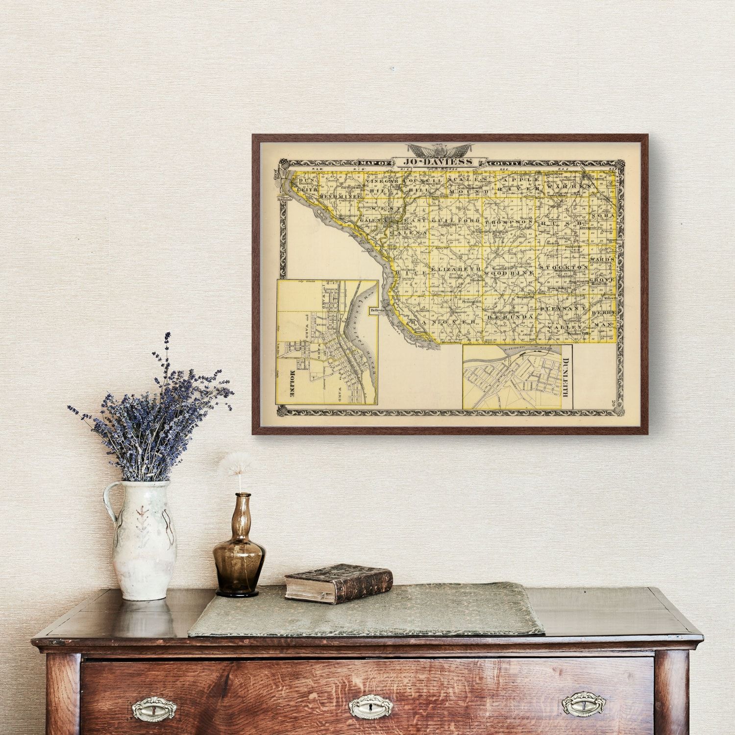 Vintage Map of Jo-Daviess County, Illinois 1876