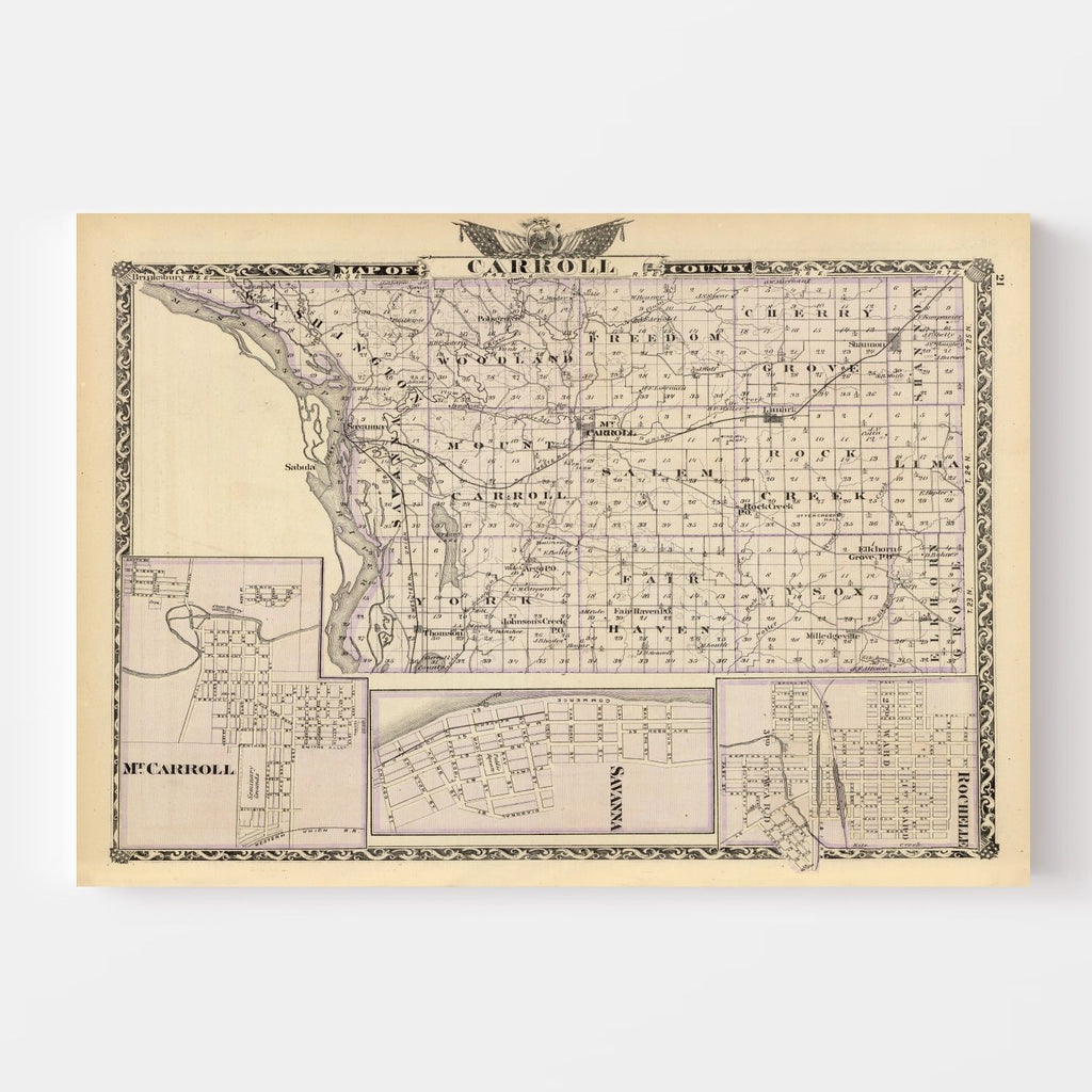 Vintage Map of Carroll County, Illinois 1876