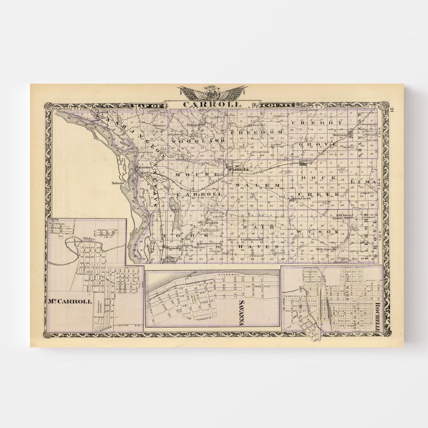 Vintage Map of Carroll County, Illinois 1876