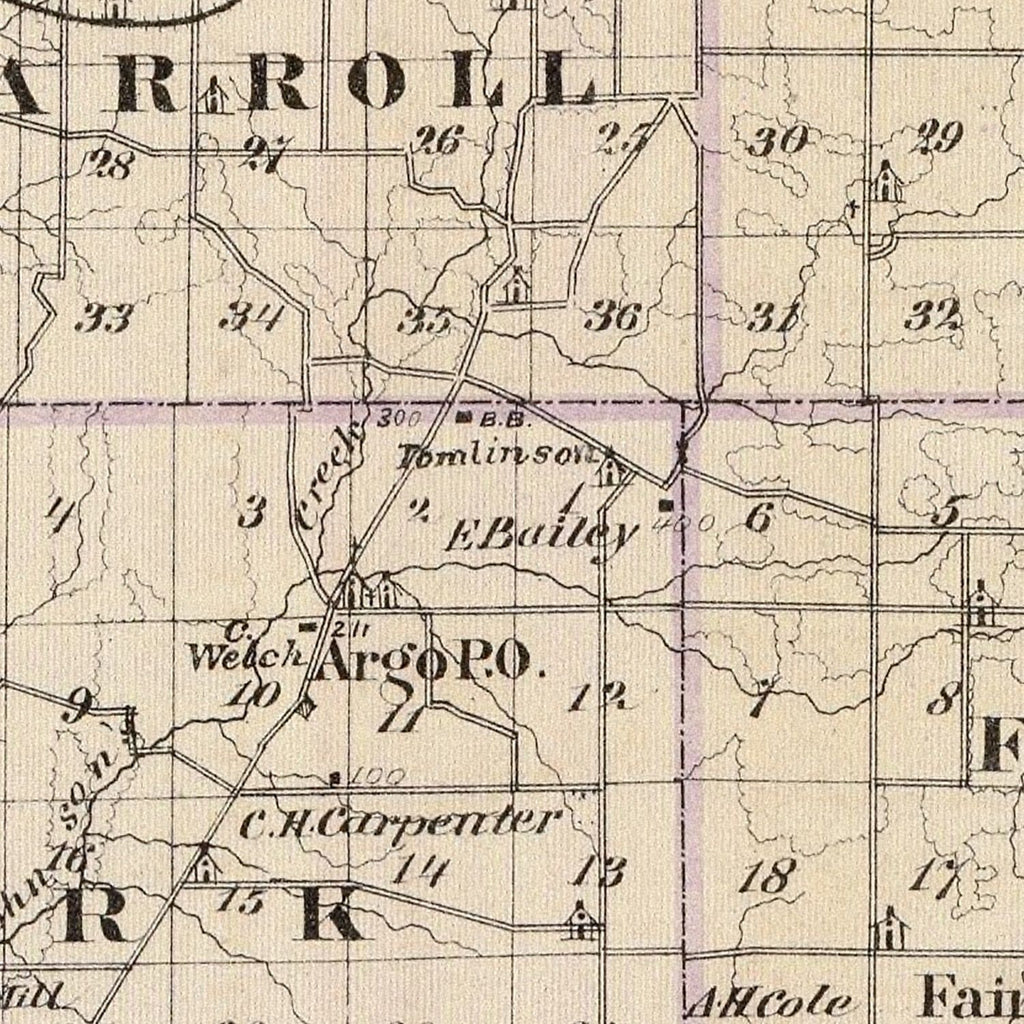 Vintage Map of Carroll County, Illinois 1876