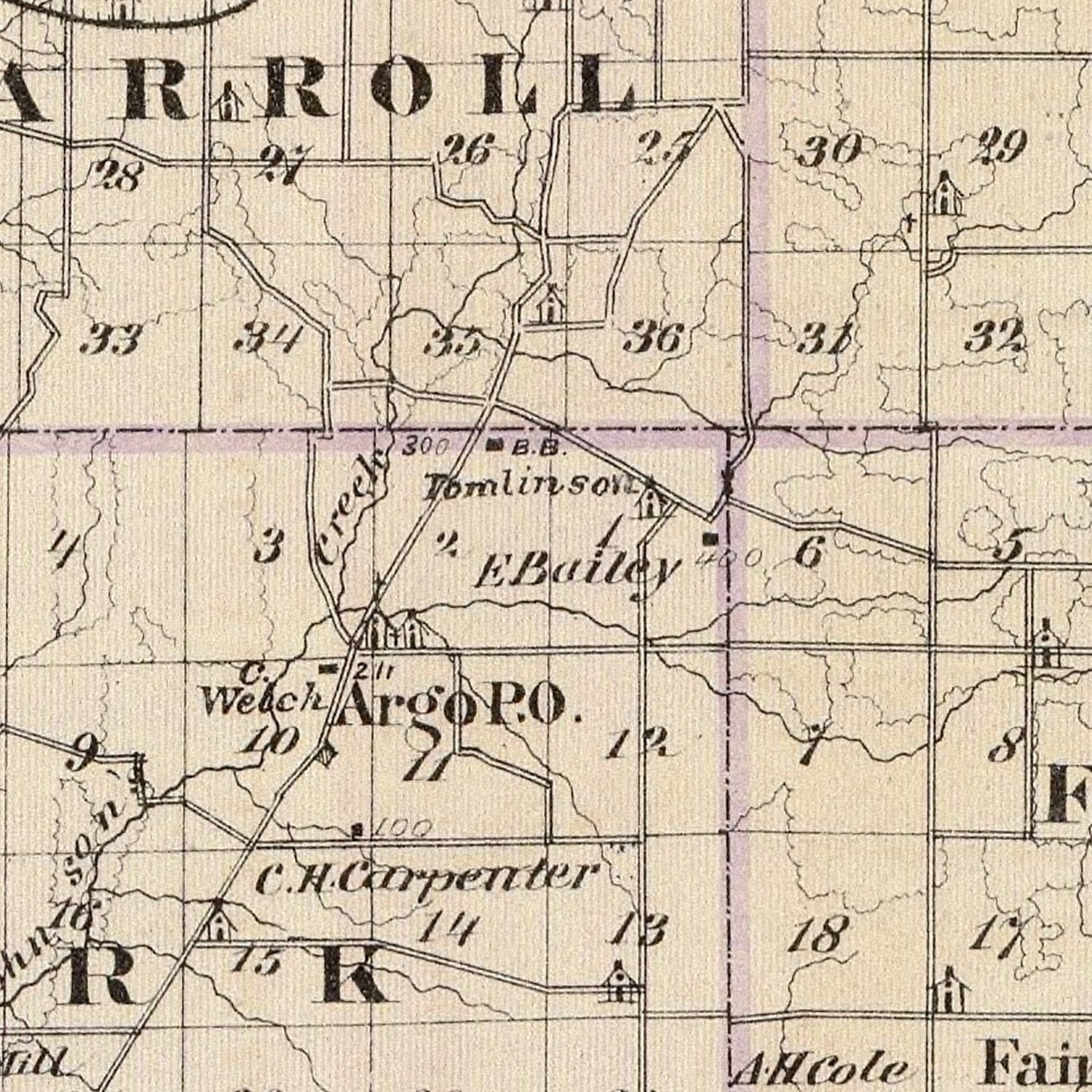 Vintage Map of Carroll County, Illinois 1876