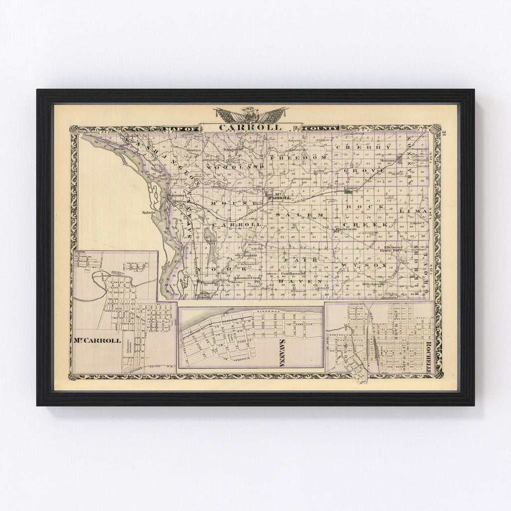 Vintage Map of Carroll County, Illinois 1876