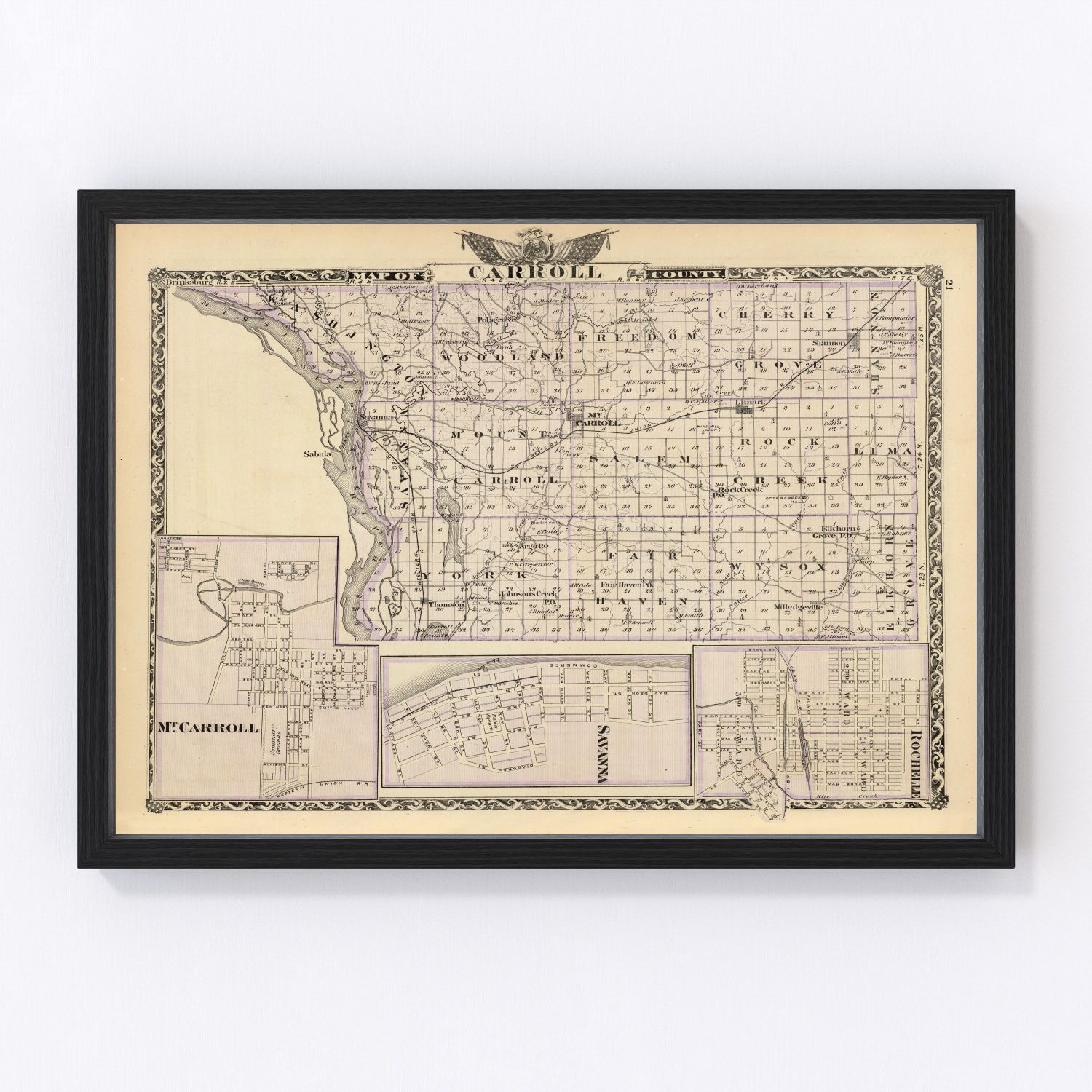 Vintage Map of Carroll County, Illinois 1876