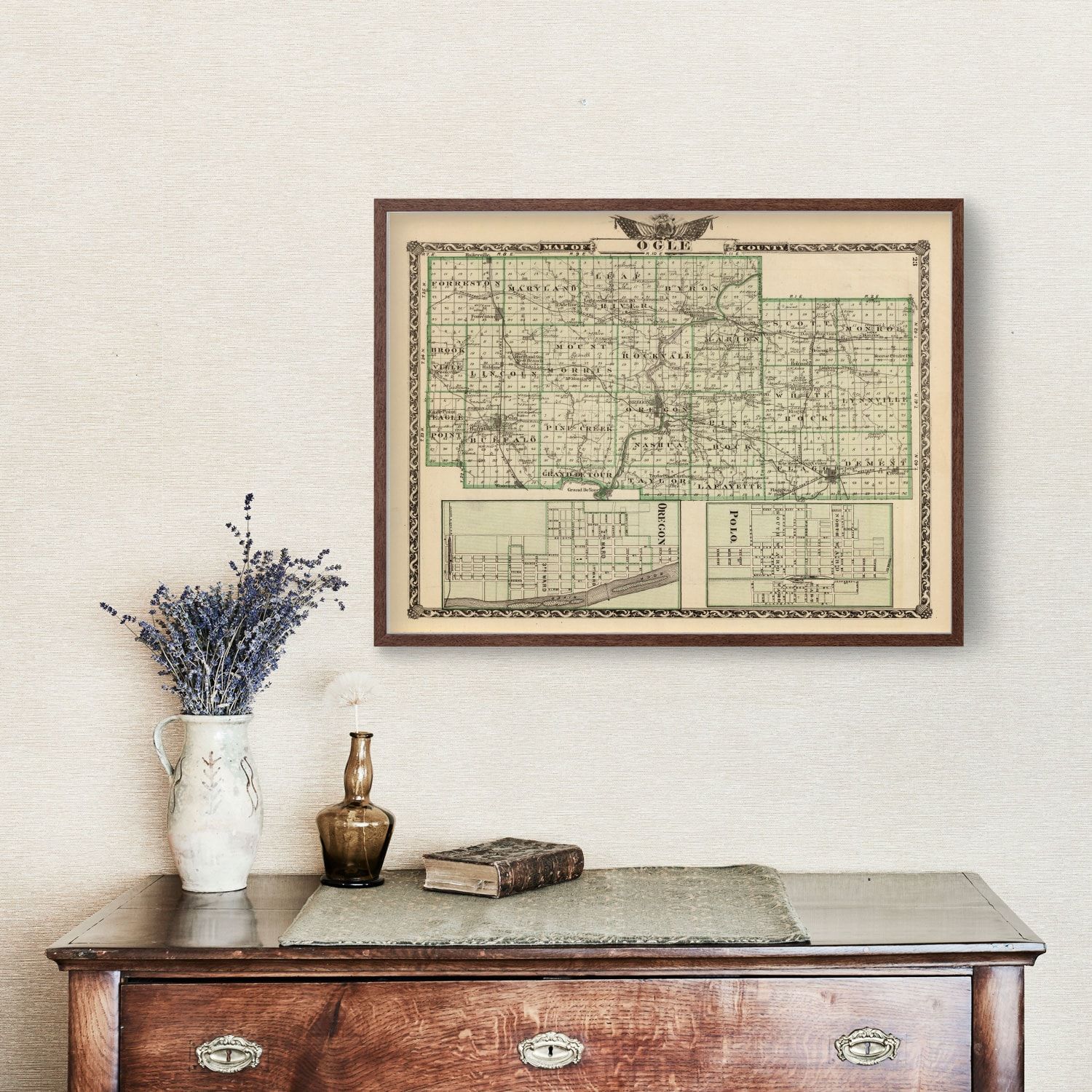Vintage Map of Ogle County, Illinois 1876