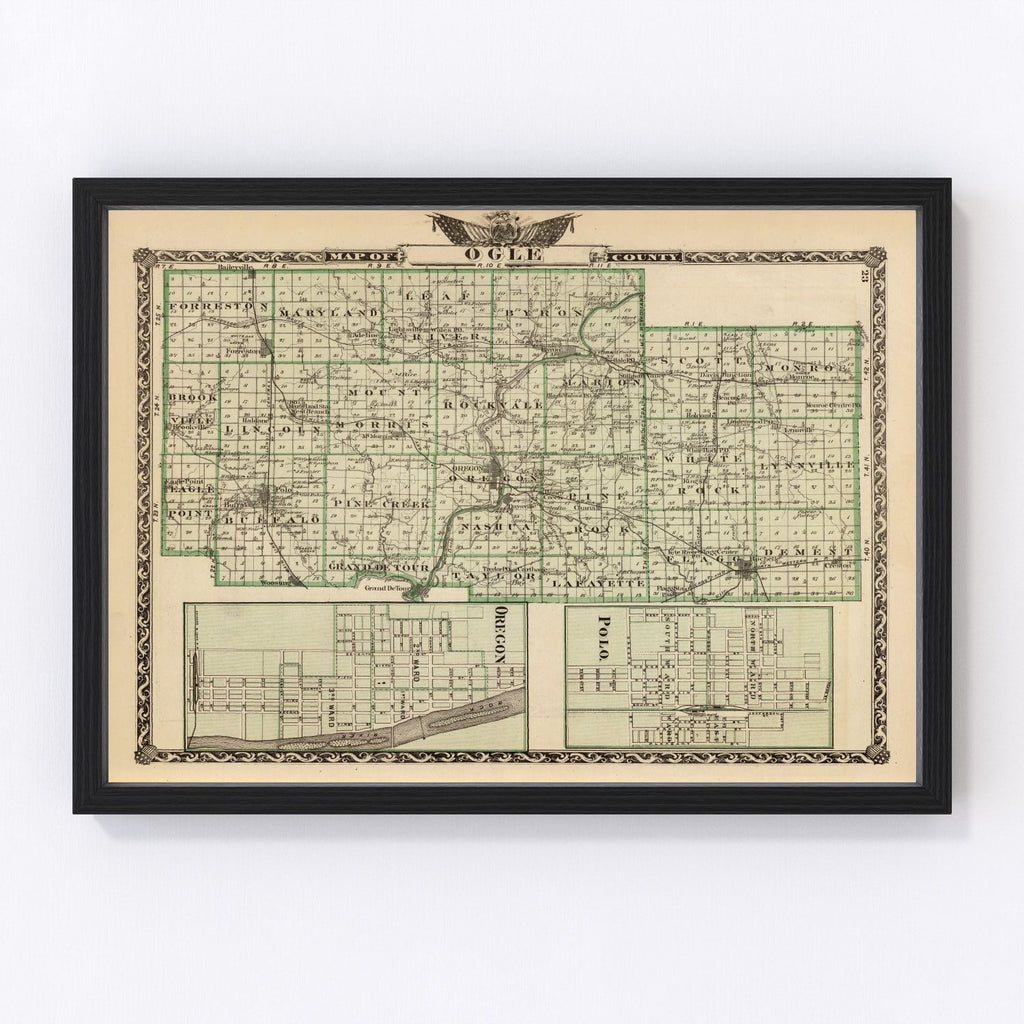 Vintage Map of Ogle County, Illinois 1876