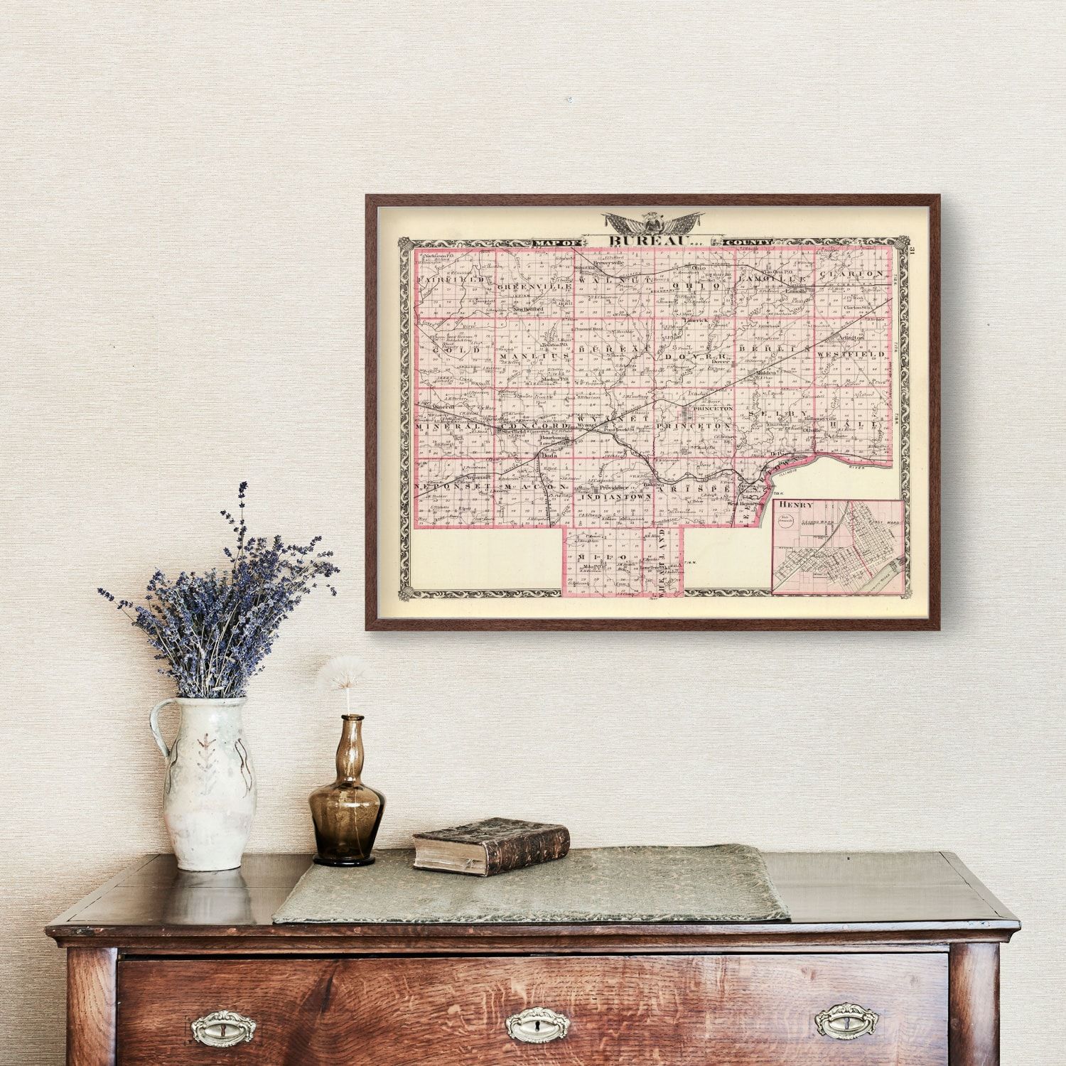 Vintage Map of Bureau County, Illinois 1876