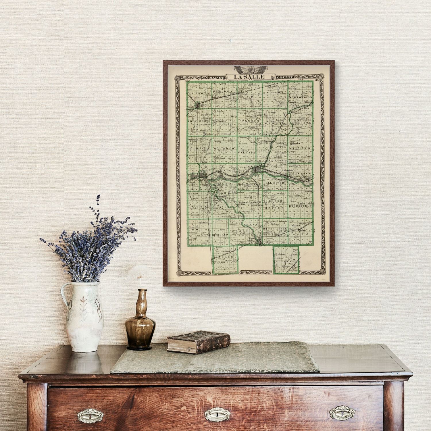 Vintage Map of La Salle County, Illinois 1876