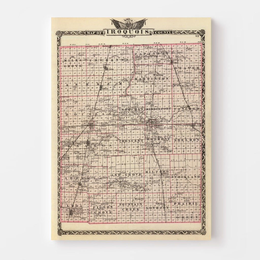 Vintage Map of Iroquois County, Illinois 1876